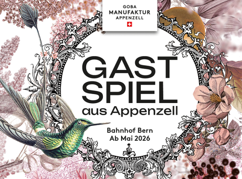 bern_800x600