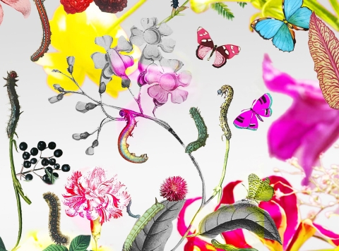 sommer_flyer_web1200