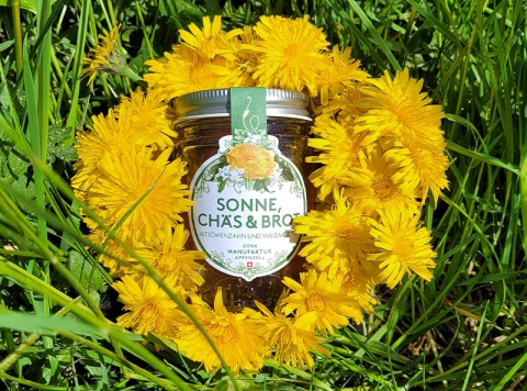 sonne_loewenzahn_800